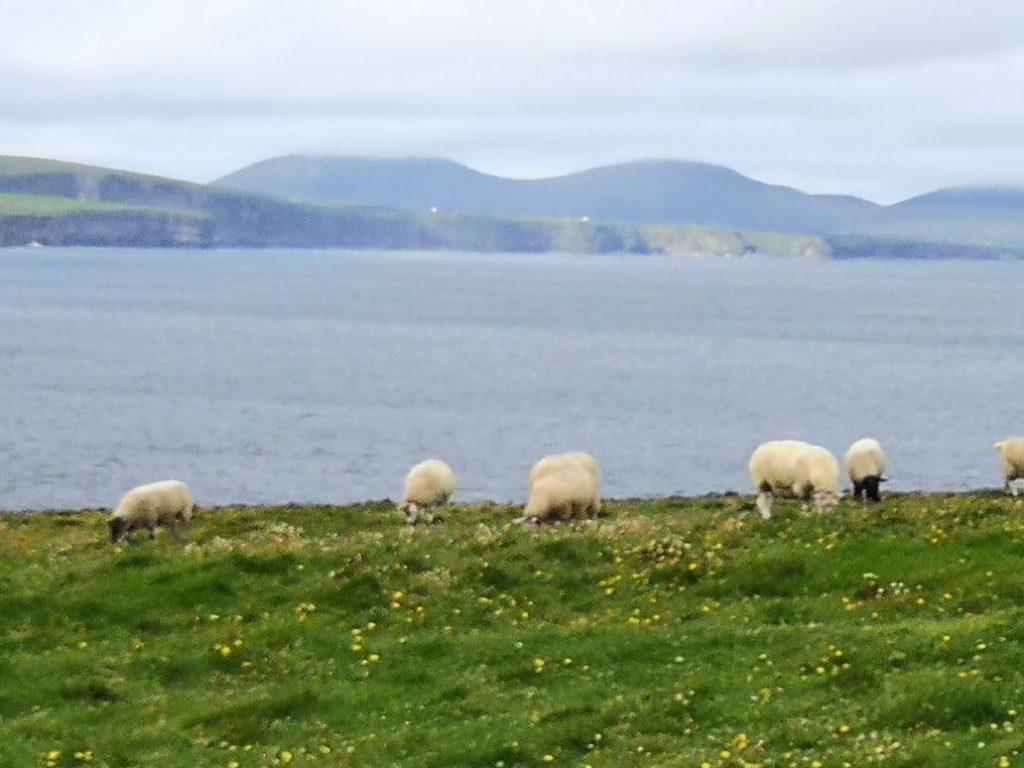 EIRE2018-0054