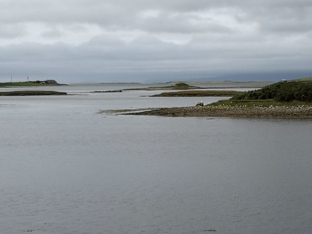 EIRE2018-0069