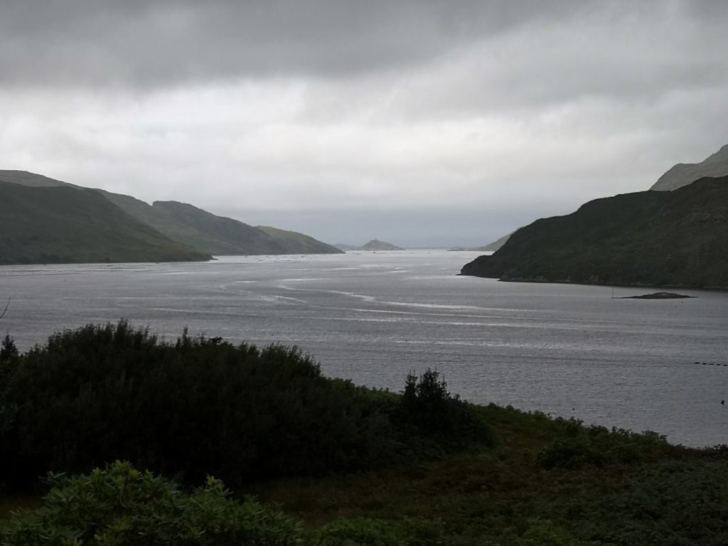 EIRE2018-0077