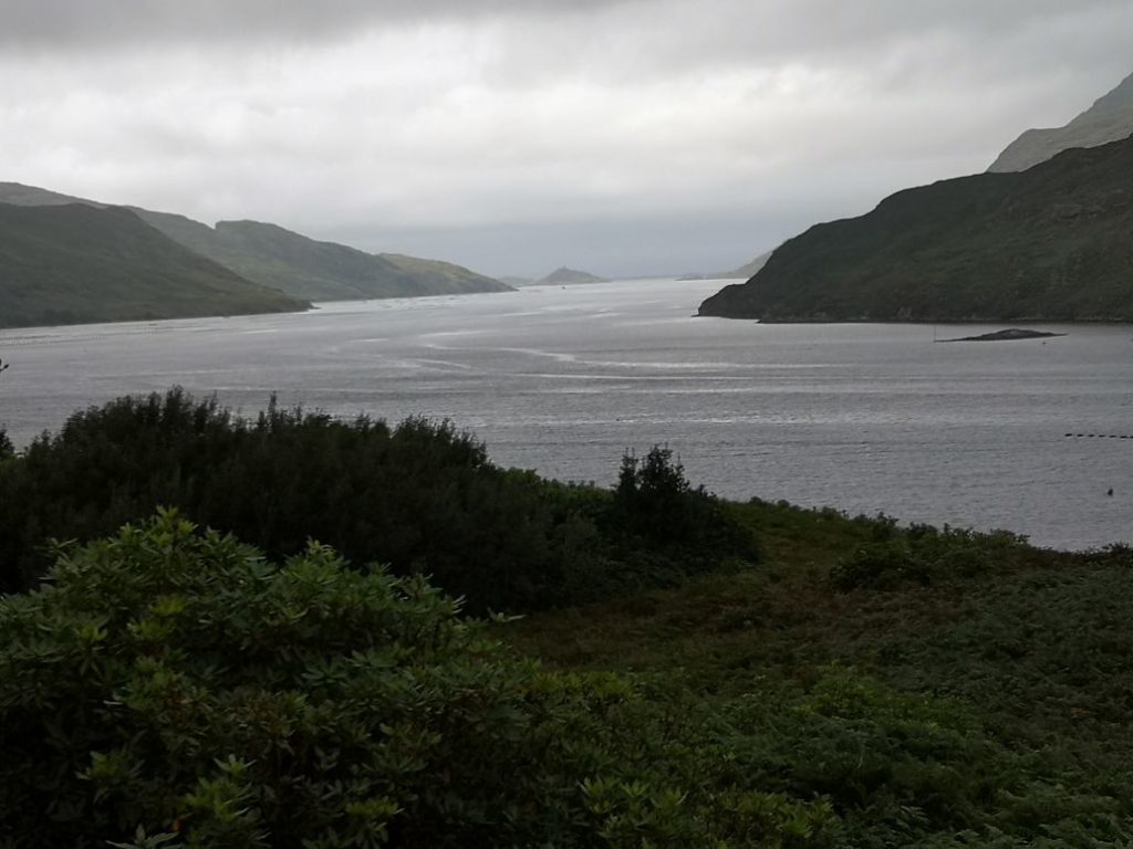 EIRE2018-0078