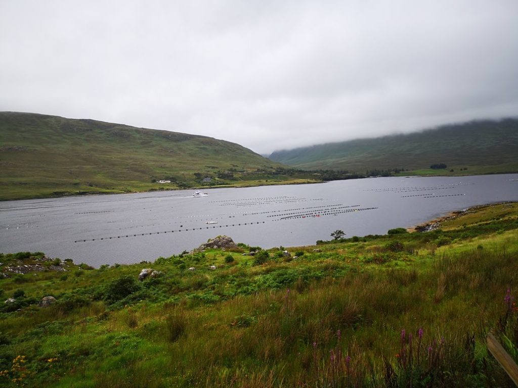 EIRE2018-0079