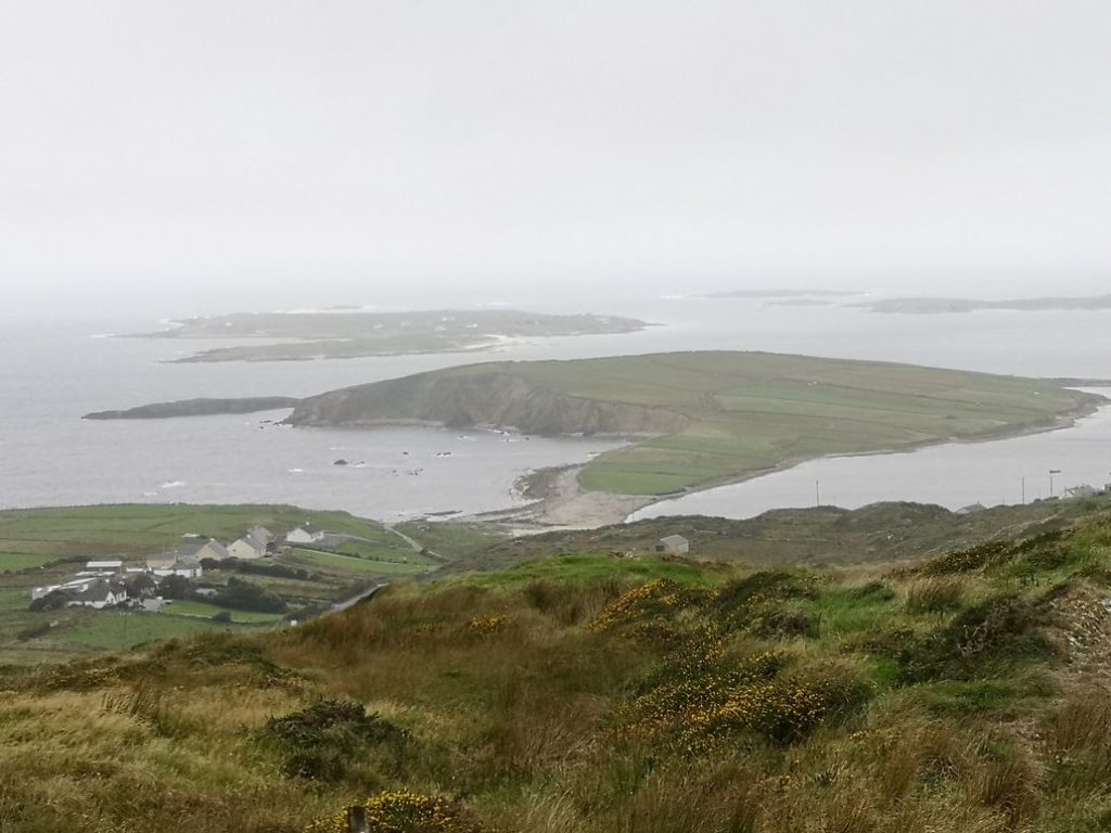 EIRE2018-0081