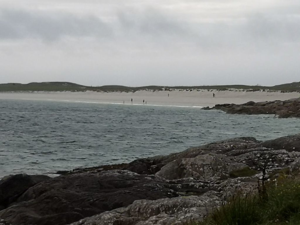 EIRE2018-0084