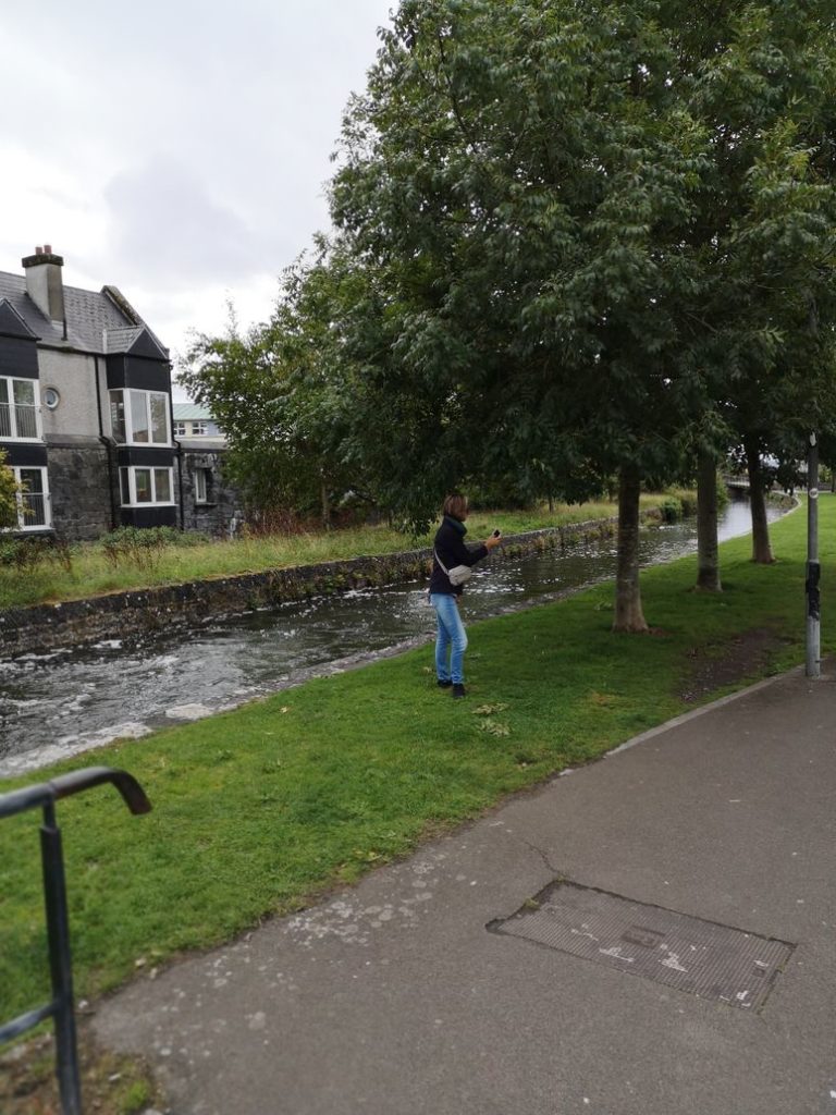 EIRE2018-0093