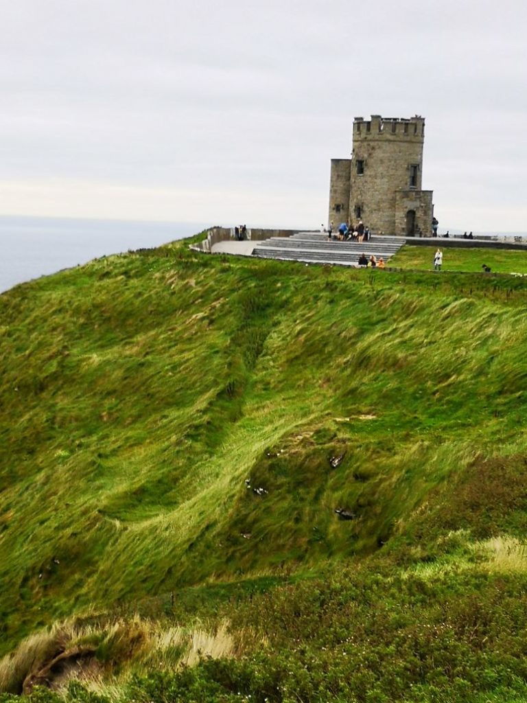 EIRE2018-0151