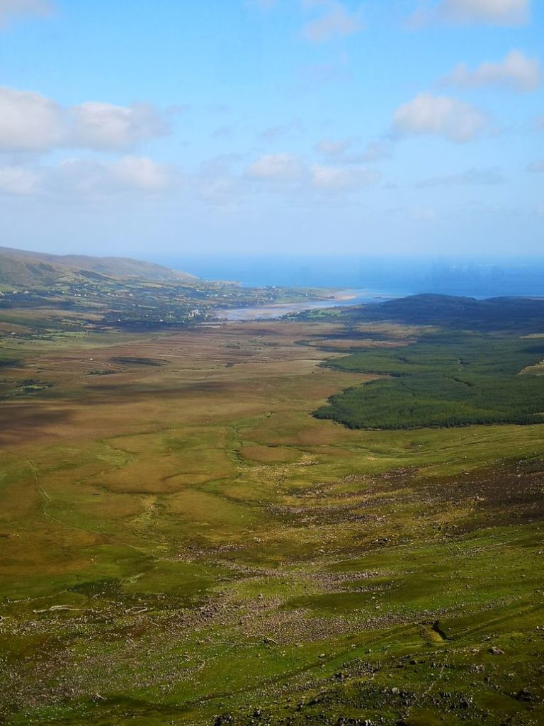EIRE2018-0162